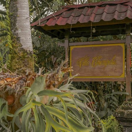 Villa Chempaka Ubud Buitenkant foto