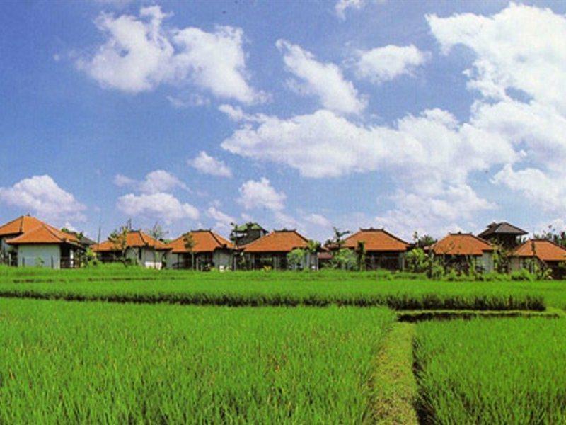 Villa Chempaka Ubud Buitenkant foto